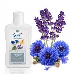 JUST Shampoo für graues Haar 250 ml - just.ch