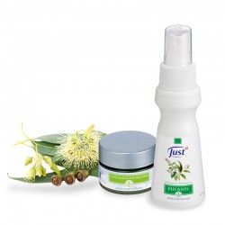 JUST Set de plantes pour vos voies respiratoires