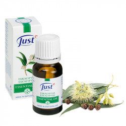 JUST Olio di eucalipto 10 ml, Oli essenziali - just.ch