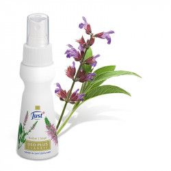 JUST Deo Plus Classic Salvia, Deodorante - just.ch