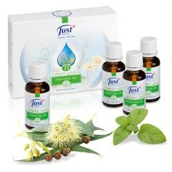 JUST 31 Kräuteröl 4 x 20 ml, Ätherische Öle - just.ch