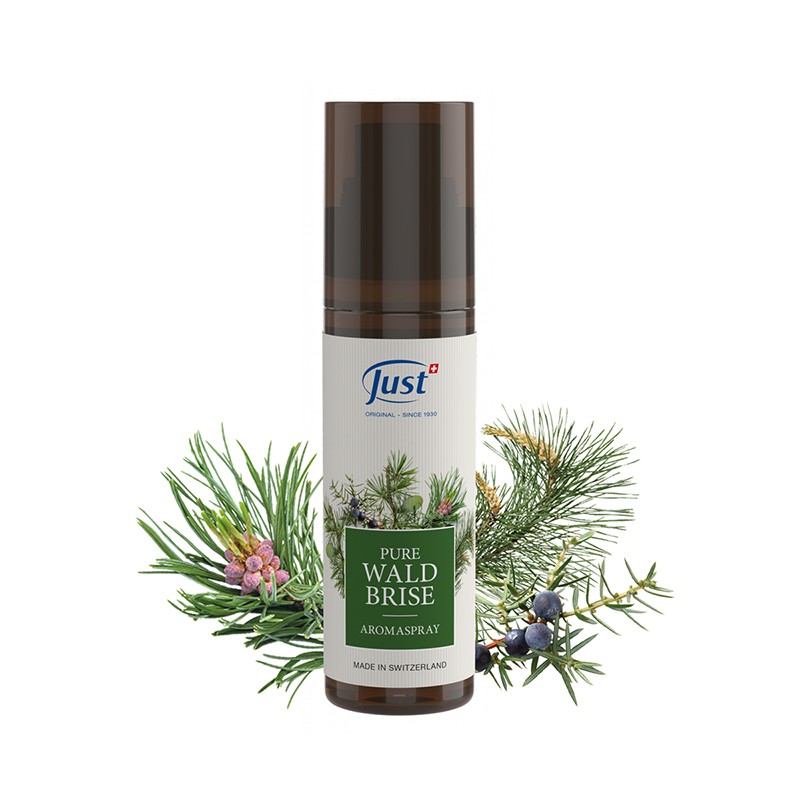 JUST Aromaspray Pure Waldbrise, Raumduft